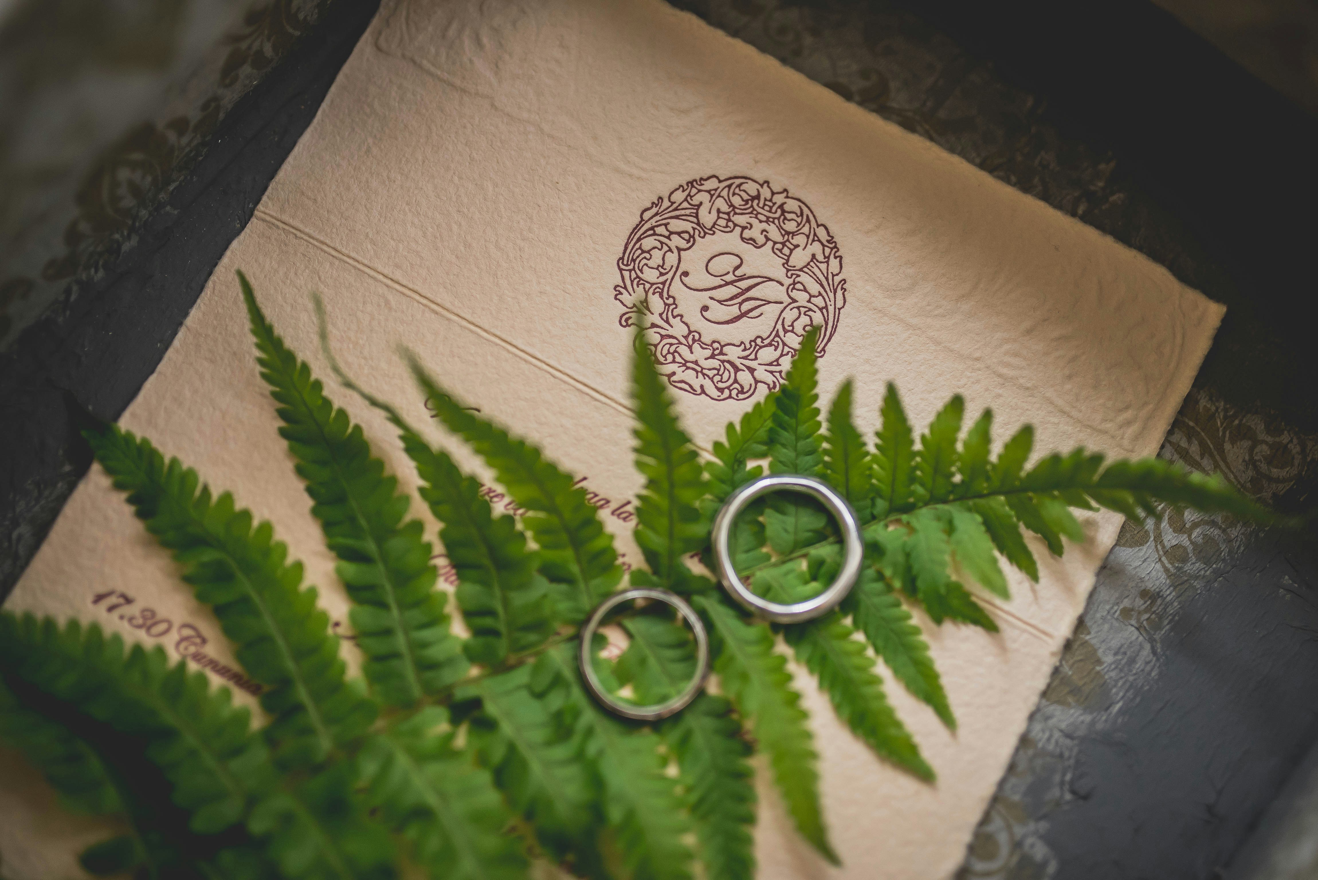 The Wedding Press